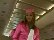 Hostess sexy in aereo